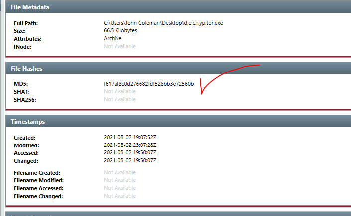 Decryptor MD5 Hash