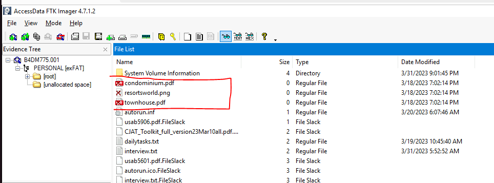 Hidden Files